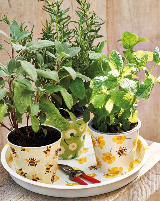Emma Bridgewater Buttercup Print Round Deepwell Tray